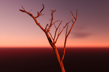 A bare dry tree against the backdrop of the setting sun.