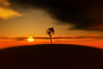 Lonely tree on a hill against the backdrop of the setting sun.
