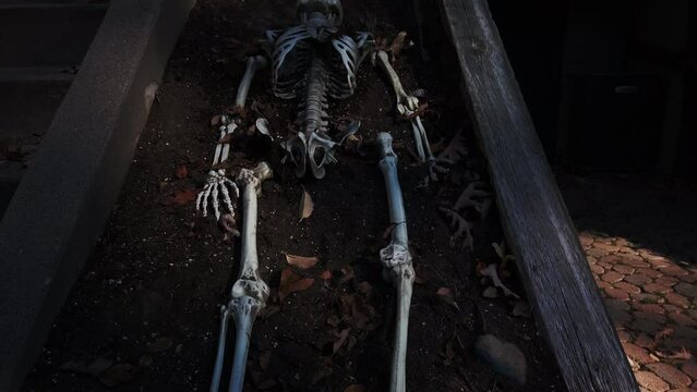 Slow reveal of a Halloween skeleton lying in the dirt and shadows