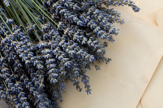 A top view image of a large bouget of dried lavender flowers and vintage writing paper. 