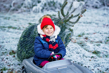 Happy little smiling girl driving toy car with Christmas tree. Funny preschool child in winter clothes bringing hewed xmas tree from snowy forest. Family, tradition, holiday.