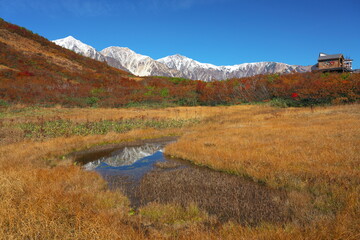 八方尾根の黒菱平鎌池湿原の紅葉と白馬三山