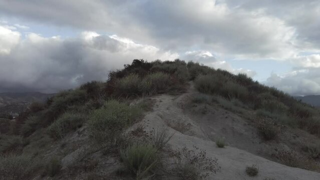 Time lapse footage of the light winds moving the wild plants with clouds moving over hills