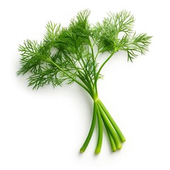 Close-up of a young dill on a white background. Generative Ai.