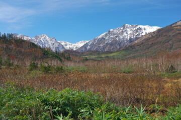 晩秋の栂池自然園からの白馬三山の眺め
