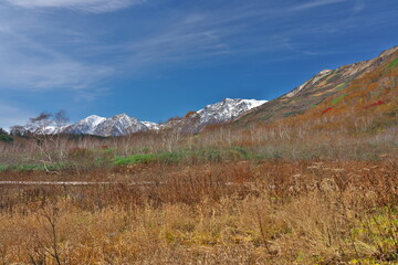 晩秋の栂池自然園からの白馬三山の眺め