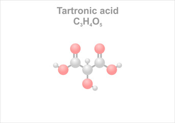 Simplified scheme of the tartronic acid molecule.