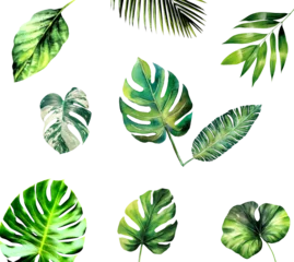 Fotobehang Tropische bladeren Exotic plants, palm leaves, monstera watercolor vector illustration