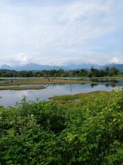 Fototapeta premium landscape with river