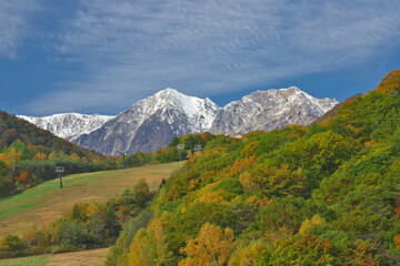 白馬鑓ヶ岳と杓子岳を望む栂池高原の秋の三段紅葉