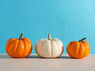 Raw Autumn pumpkins on wooden kitchen counter table against blue background