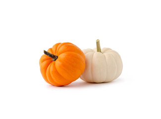 Two fresh orange and white colored Autumn pumpkins isolated on white background.