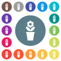 flowerpot with flower and leaves solid flat white icons on round color backgrounds