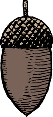 手描きのどんぐりのレトロなイラスト