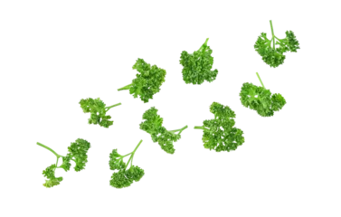 Poster Fresh parsley leaves falling in the air isolated on transparent background. PNG © PotaeRin