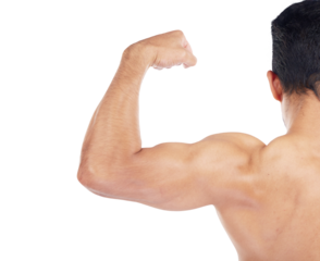 Back of bodybuilder, strong muscle and training bicep, arm or gym on isolated, transparent or png background. Model, check growth or progress of body, muscles or flexing in exercise or workout