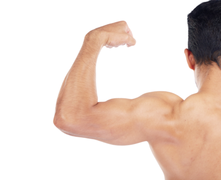 Back of bodybuilder, strong muscle and training bicep, arm or gym on isolated, transparent or png background. Model, check growth or progress of body, muscles or flexing in exercise or workout
