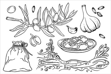 Olive oil set, graphic, vector, hand drawn doodle. Elements for food, sunflower, olives, branch, bag, lemon, kitchen board, extra virgin bottle. Oil for cosmetics and serums.