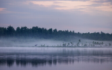 Obraz na płótnie Canvas fog over the lake at sunset