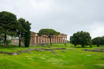Fototapeta na wymiar Archaeological Park of Paestum - Italy