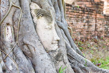 The stone Buddha head entwined in tree roots at Ayutthaya
