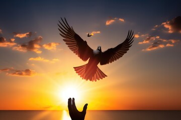 Silhouette pigeon return coming to hands in air vibrant sunlight sunset sunrise background