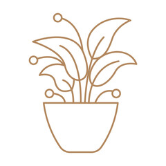 Flower Plant Flower Doodle