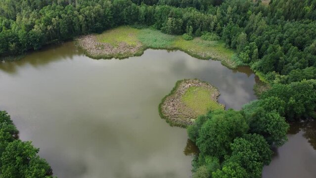 Aerial view of a pond, protected area, bird sanctuary, island of reeds.