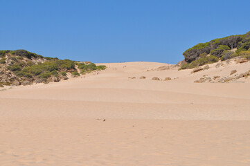 The beach in Bolonia