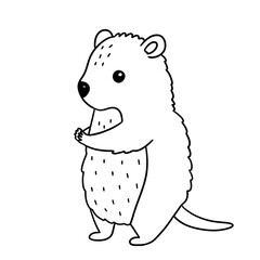 quokka coloring line