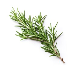 A rosemary twig on a white background. Generative Ai.