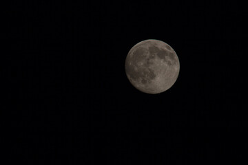 Obraz premium Moon in the night