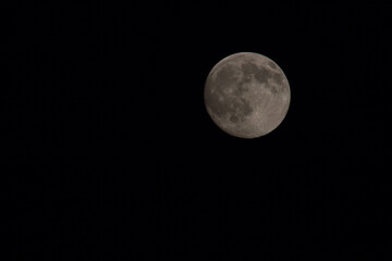 Moon in the night