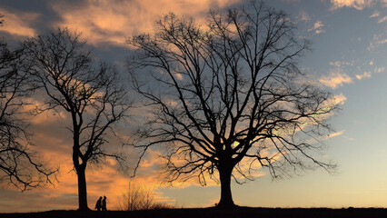 Silhouette of trees and beautiful sky at sunset, concept of beauty of nature at sunset.