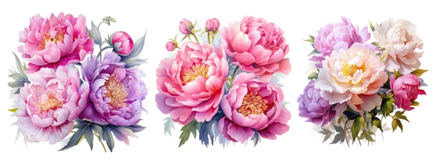 Keuken spatwand met foto Watercolor pink peony flowers bouquet, peony flowers isolated on transparent background © Aspect_Studio