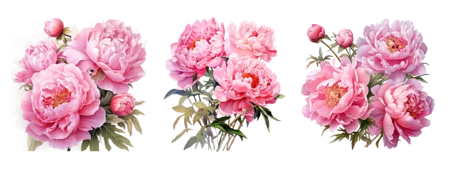 Foto op Aluminium Watercolor pink peony flowers bouquet, peony flowers isolated on transparent background © Aspect_Studio