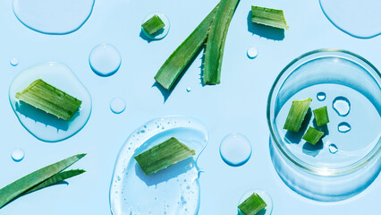 petri dish on a light blue background drops of aloe vera - obrazy, fototapety, plakaty