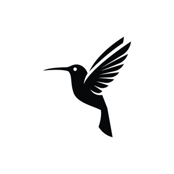 hummingbird logo vector icon illustration