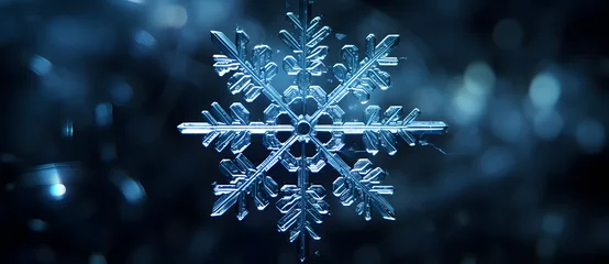 Fotobehang A model of a crystal clear snowflake in a black background 3 © 文广 张
