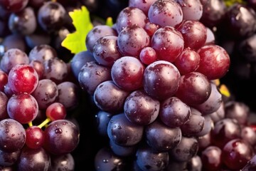 Fototapeta premium extreme close-up of a bunch of ripe wine grapes