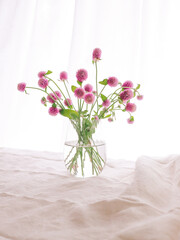 Pink Oleander Flowers in a Glass Vase, Swirling Curtain in the Background.	