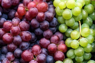 close-up of grapes showing varying degrees of maturity - obrazy, fototapety, plakaty