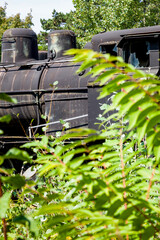 old rusty abandoned steam locomotive in forest
