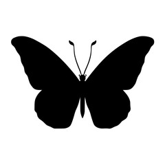 butterfly silhouette vector illustration