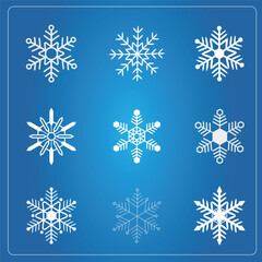 Fototapeta na wymiar a set of different shape of snowflakes