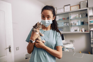 Asian veterinarian intern holds tabby kitten at appointment in hospital