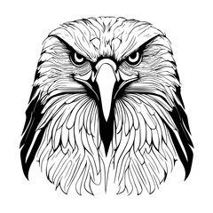 eagle head vector illustration