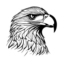 eagle head vector illustration