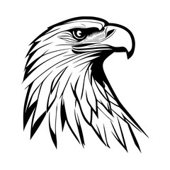 eagle head vector illustration