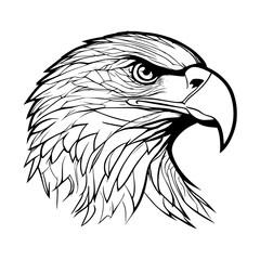 eagle head vector illustration